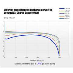 100AH 12V Maintenance Free Lithium Iron Phosphate Deep Cycle Battery LiFePO4 Love My Caravan